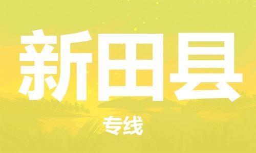赵巷镇到新田县物流专线-赵巷镇至新田县货运专注运输多年