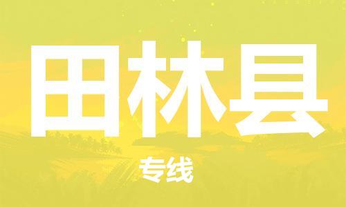 赵巷镇到田林县物流专线-赵巷镇至田林县货运专注运输多年
