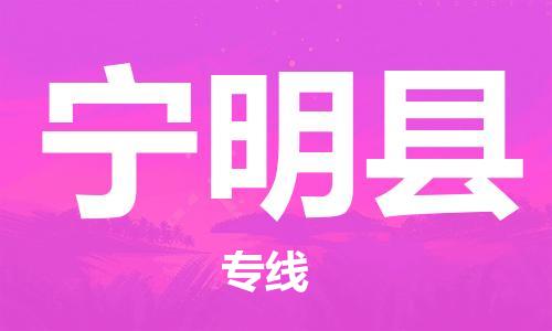 赵巷镇到宁明县物流专线-赵巷镇至宁明县货运专注运输多年