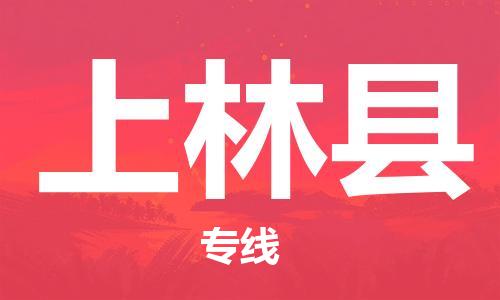 天山路街道到上林县物流专线-天山路街道到上林县货运放心物流