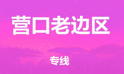 南翔镇到营口老边区物流专线-营口老边区到南翔镇货运-热推