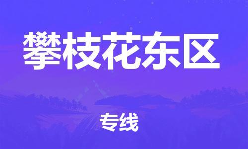 南翔镇到攀枝花东区物流专线-攀枝花东区到南翔镇货运-热推