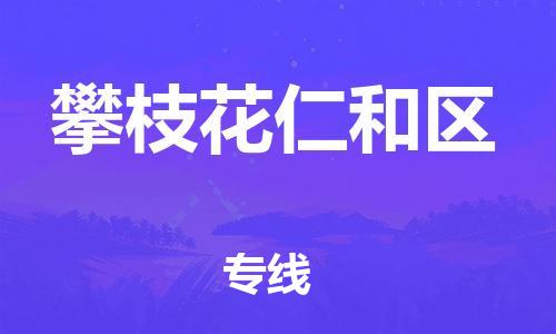 南翔镇到攀枝花仁和区物流专线-攀枝花仁和区到南翔镇货运-热推